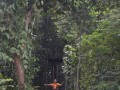 Tn DSC 4322